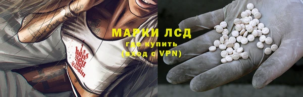 мдпв Богородицк