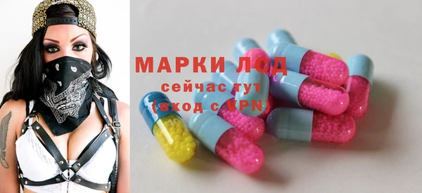 мдпв Богородицк