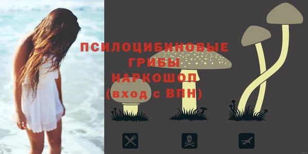 соль ск Богородск