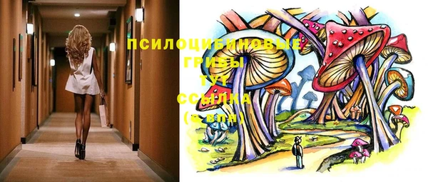 ECSTASY Богданович