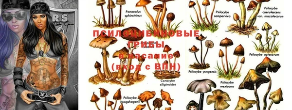 мдпв Богородицк