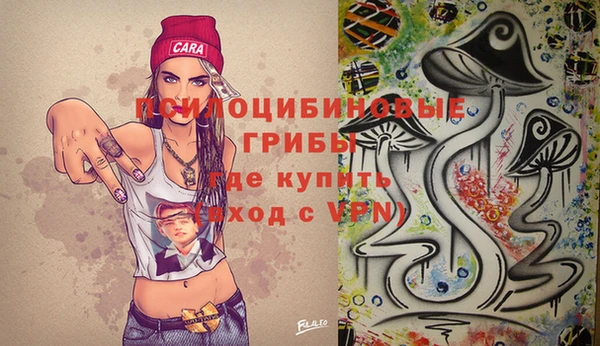 мдпв Богородицк