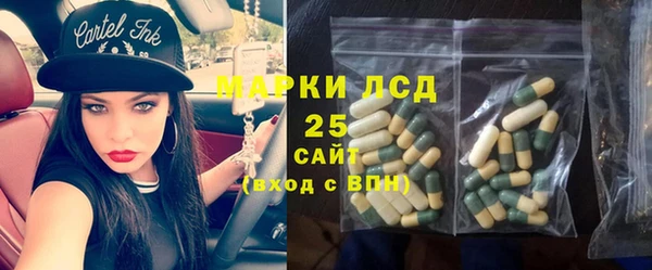 мдпв Богородицк