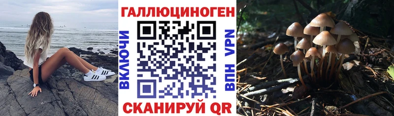 наркошоп  Боровск  Галлюциногенные грибы ЛСД 